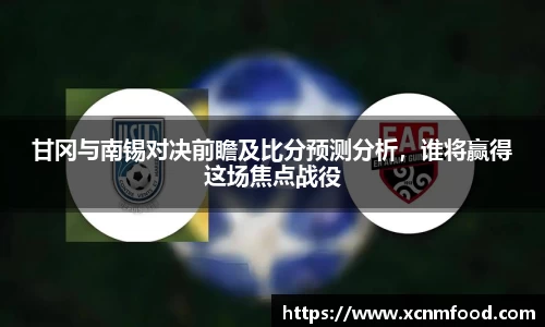 甘冈与南锡对决前瞻及比分预测分析，谁将赢得这场焦点战役