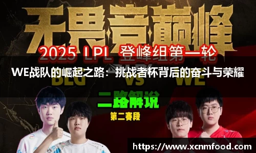 WE战队的崛起之路：挑战者杯背后的奋斗与荣耀